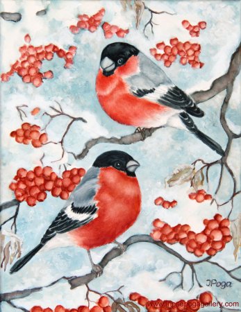 Зимующие птицы рисунок