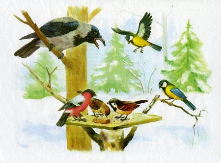 Рисунок в детский сад зимующие птицы (53 фото)
