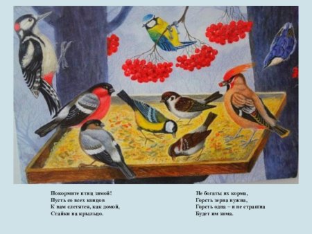 Рисование зимующие птицы