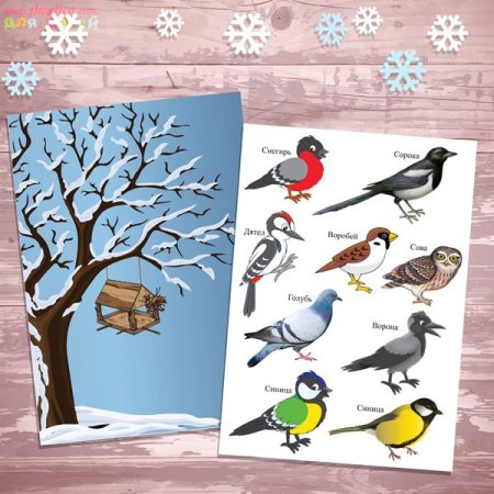 Ворон для детей