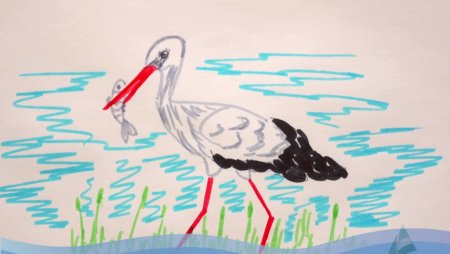 Халиф Аист диафильм