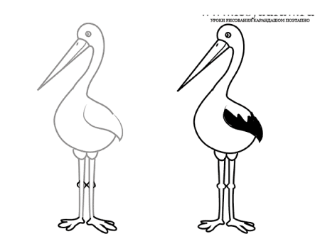 Калиф Аист раскраска к сказке