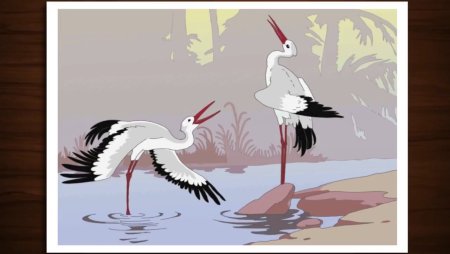 Халиф Аист 1969