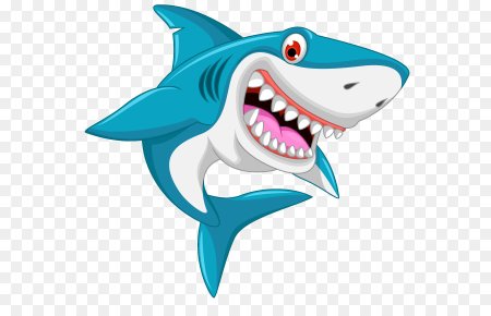 Shark рисунок