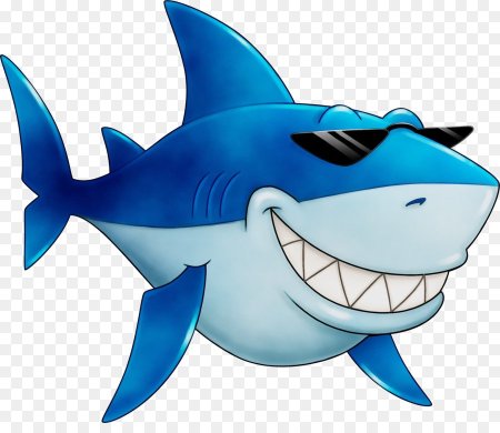 Акула символ