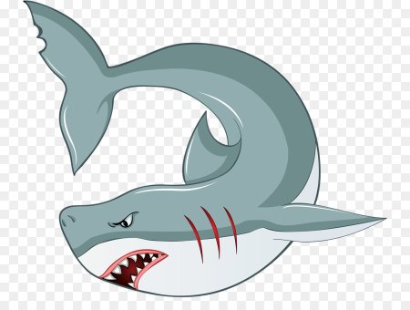 Акула рисунок