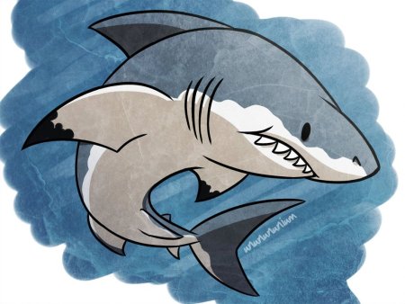 Акула рисунок