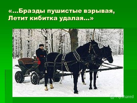 Сверчков Николай Егорович тройка