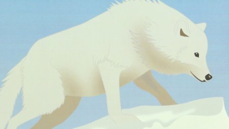 Полярный волк мультяшный