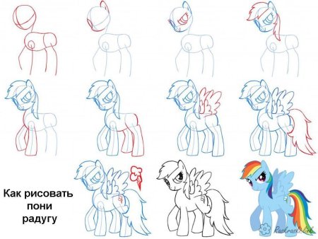 Как нарисовать пони