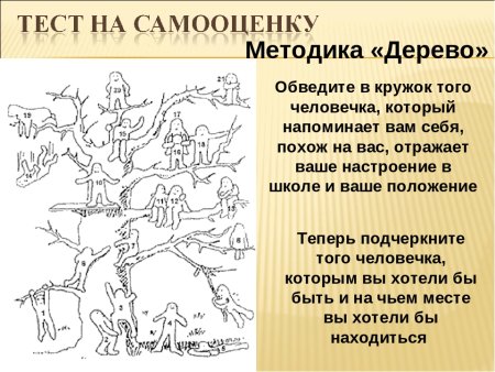 Проективная методика дерево Пономаренко