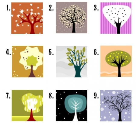 Интересные тесты в картинках