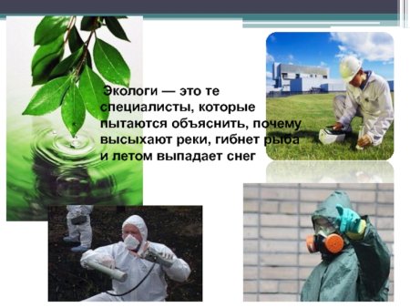 Профессия эколог