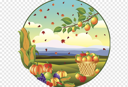 Урожай иллюстрация