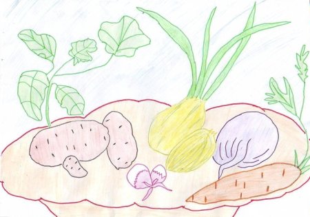 Рисование овощи на грядке