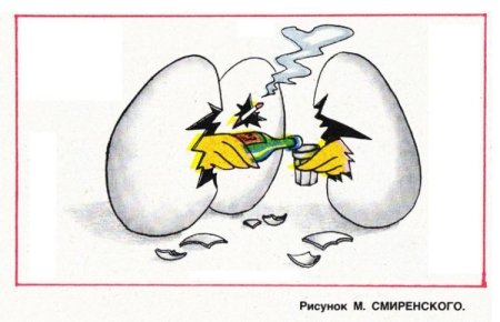 Цыпленок карикатура