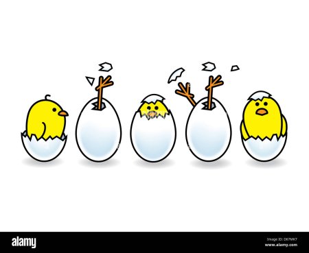 Невылупившиеся птенцы