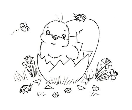 Балет невылупившихся птенцов раскраска