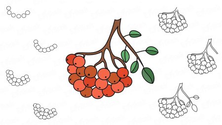 Ветка рябины рисование