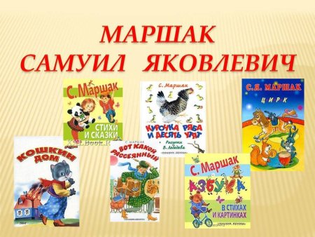Кот и лодыри