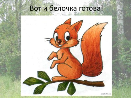 Белочка рисунок детский