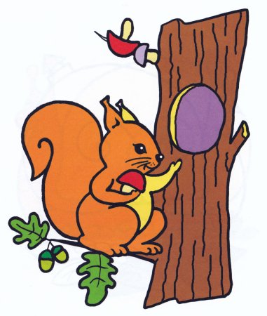 Рисунок белки