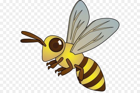 Оса для дошкольников