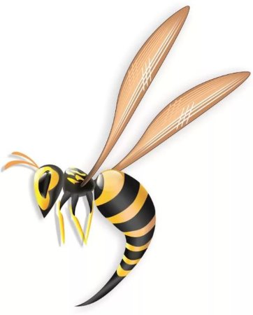 Оса для дошкольников