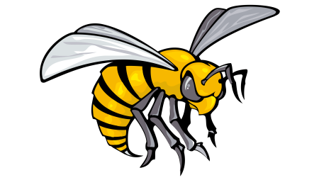 Хорнет пчела