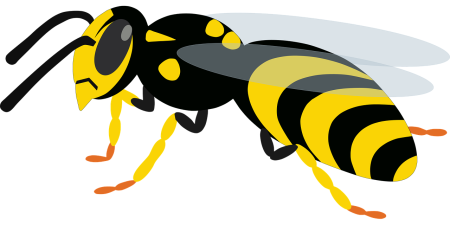 Оса для дошкольников