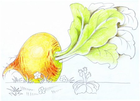 Репка рисунок