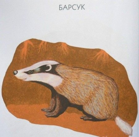 Детские рисунки барсука