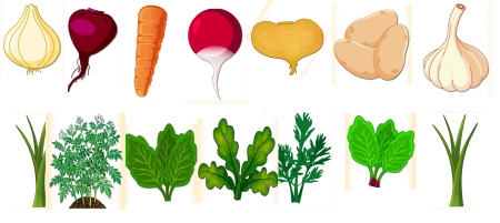 Овощи вершки и корешки