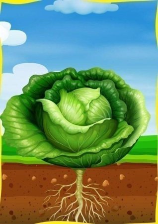 Мужик и медведь раскраска