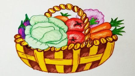 Овощи и фрукты рисунок