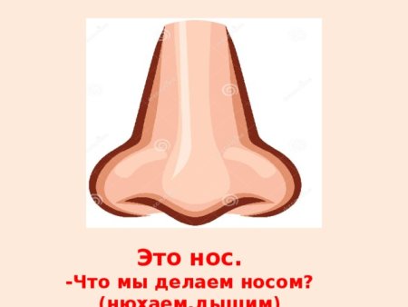 Карточка нос