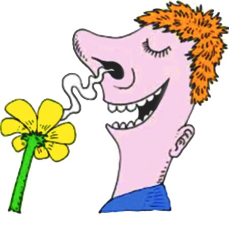 Нос нюхает цветок