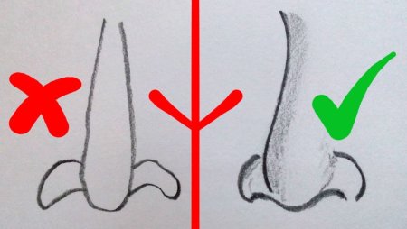 Как нарисовать нос ребенку