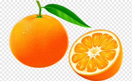 Апельсин вектор
