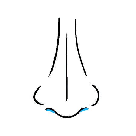 Искривление носовой перегородки вазомоторный ринит