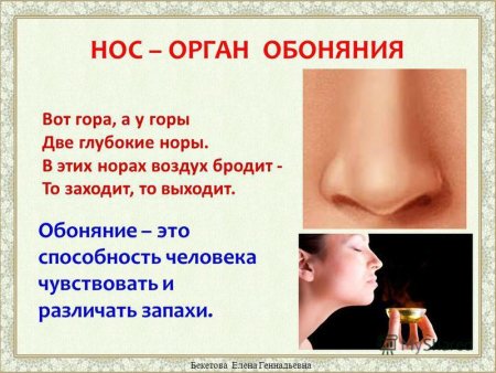 Загадки с рисунками