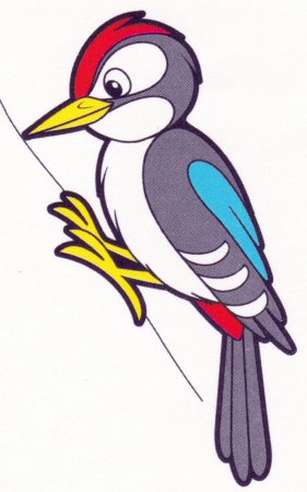 Дятел рисунок