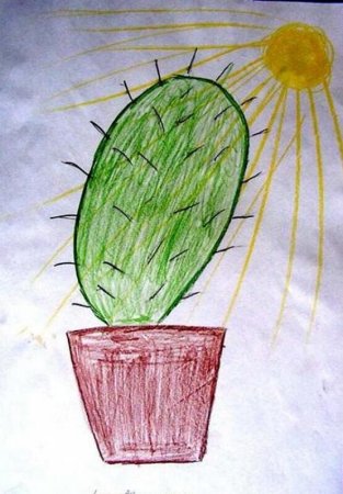 Рисование комнатные растения