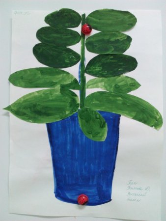Рисование комнатные растения подготовительная группа