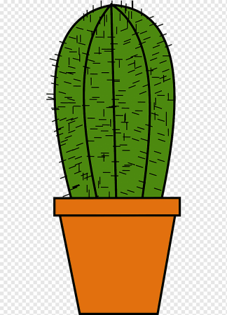 Рисование комнатные растения