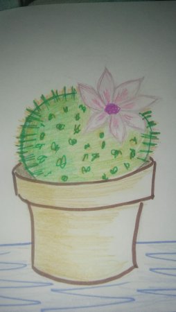 Домашние растение для рисования