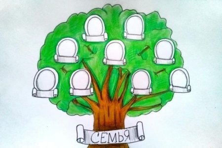 Нарисовать Древо семьи