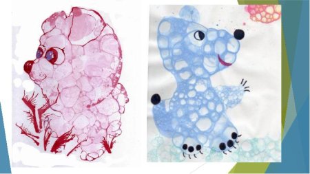 Рисование мыльными пузырями техники рисования