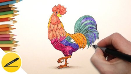 Рисование петушок