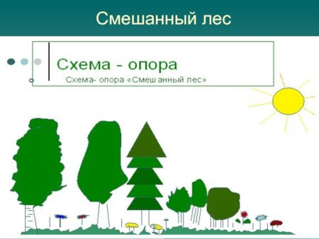 Раскраска деревья и кустарники